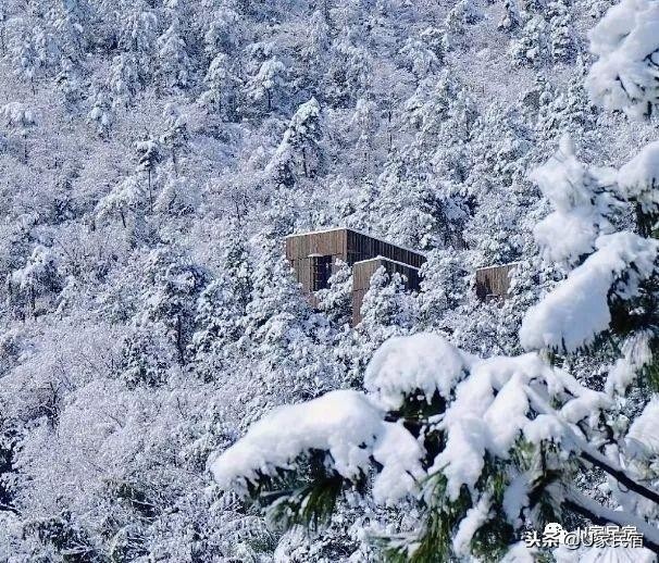 冬日续命必备！我不需要暖气只要一场竹海雪野里的温泉spa